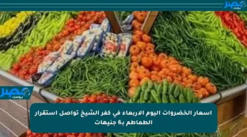 أسعار الخضروات اليوم الأربعاء في كفر الشيخ تواصل استقرار الطماطم بـ6 جنيهات